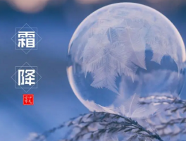 霜降节气的含义，霜降时节的养生之道是什么？